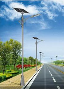 1742827545426759.jpg 日土太阳能路灯.jpg