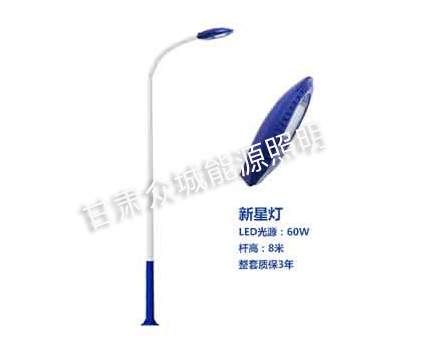 日土爆款市电路灯